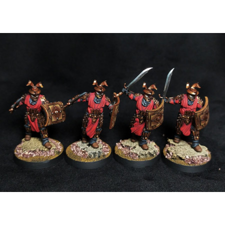 Warriors Swordsmen